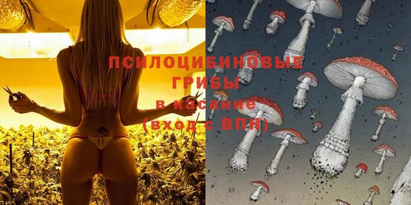 spice Нязепетровск