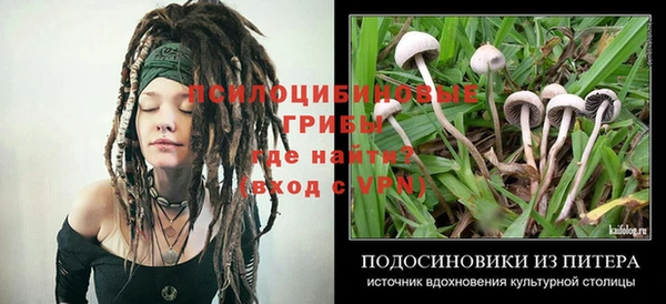 spice Нязепетровск