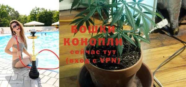 spice Нязепетровск